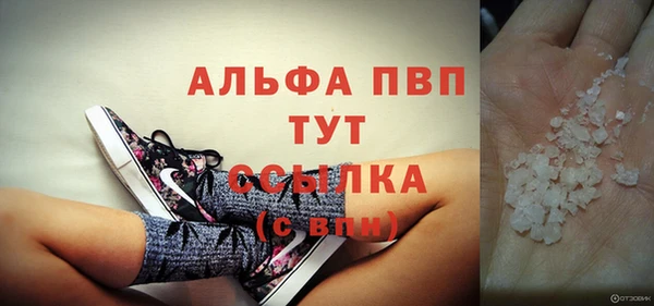 стафф Ладушкин