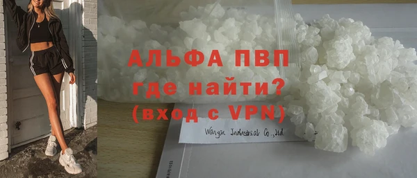 стафф Ладушкин