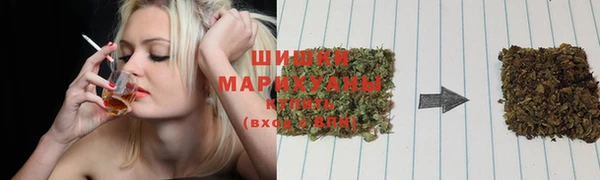 стафф Ладушкин