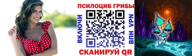 продажа наркотиков  Владимир  Псилоцибиновые грибы Magic Shrooms 