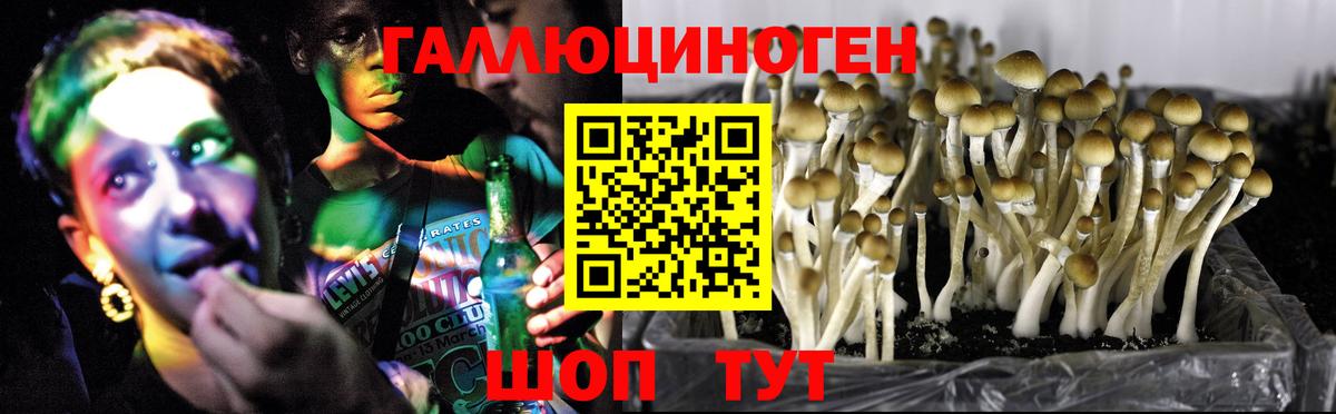 Владимир  Псилоцибиновые грибы MAGIC MUSHROOMS  Вход с VPN  Галлюциногенные грибы прущие грибы 